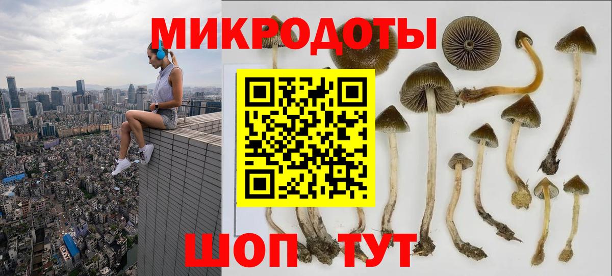 Галлюциногенные грибы прущие грибы  Вход с VPN  Мирный 